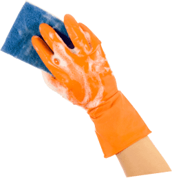 Cleaning Services