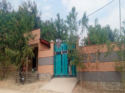 House for sell